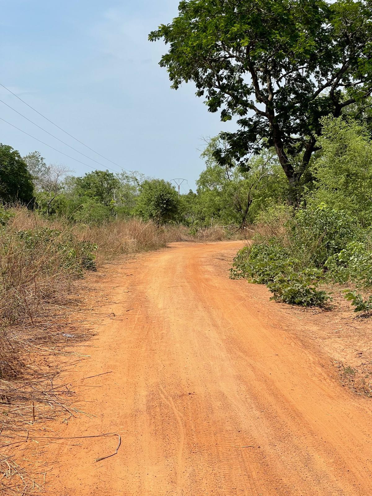 Red Path