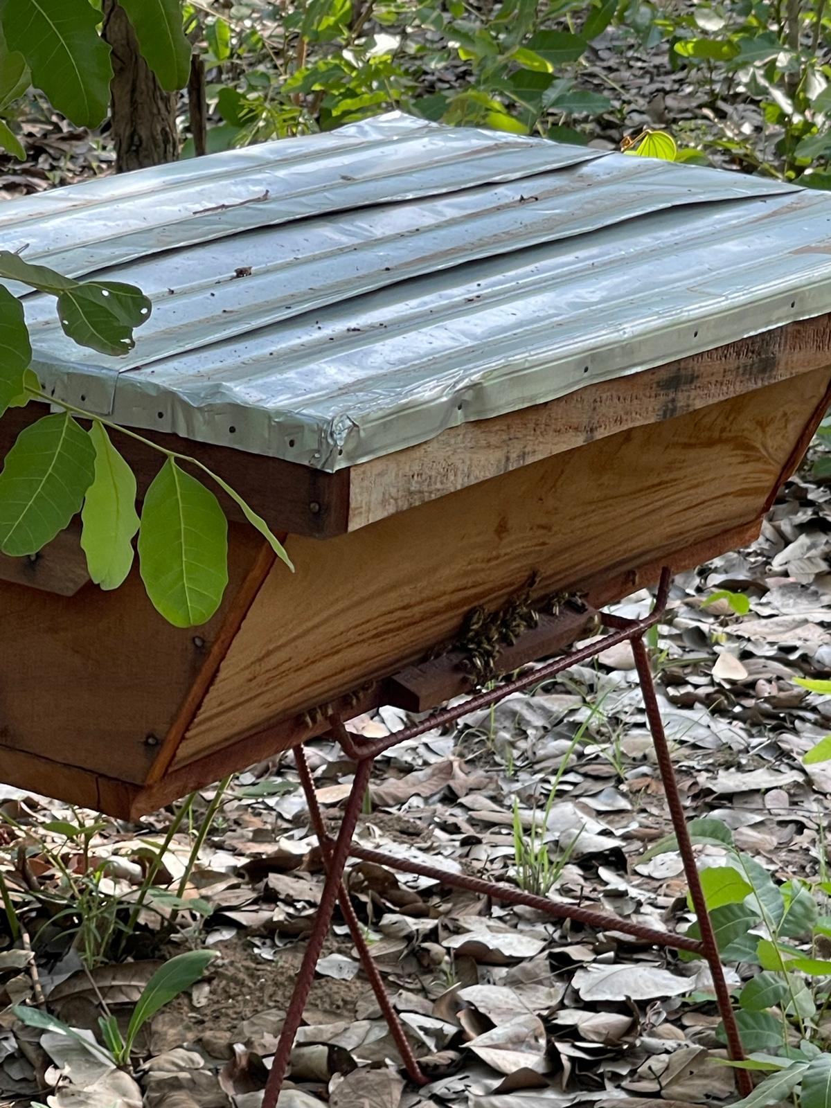 The Bees